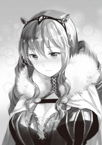 14079460_241366766260667_4557853687373664253_n